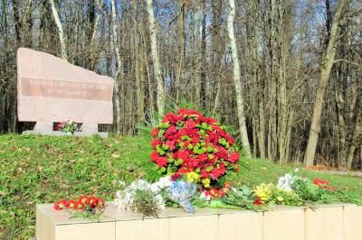 	Выбран подрядчик, который благоустроит братскую могилу в Медведевском лесу
