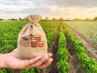 Сельхозпроизводителям предлагают льготное кредитование