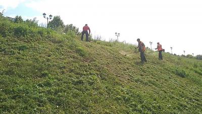Более 30 человек занимаются покосом травы на городских территориях