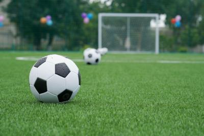День физкультурника в Орле отметят турниром по мини-футболу