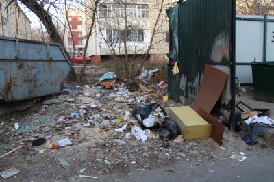 Из контейнерной площадки – в стихийную свалку: Советский район нуждается в уборке