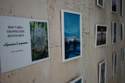 В администрации Орла открылась фотовыставка «Красота в ладонях»