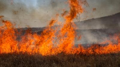 В Орле выявлены первые случаи поджога сухой травы 